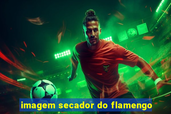 imagem secador do flamengo